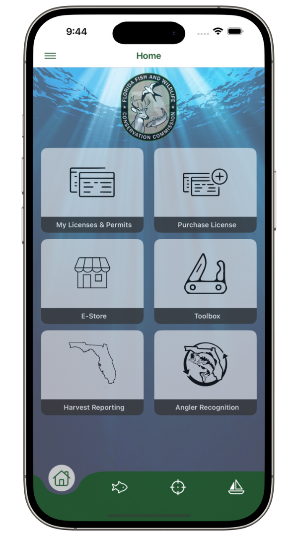 Mobile App Image